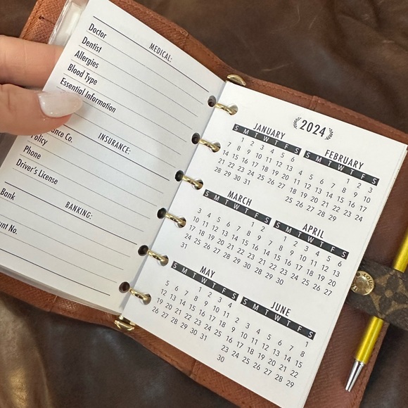 2025 Insert Calendar FITs Louis Vuitton Agendas: PM, MM, GM all Sizes Avail - Picture 8 of 10